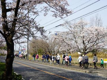 大安寺・岩崎城コースの参加者