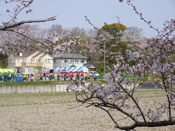 岩崎城春まつりのステージを過ぎるとゴールイン