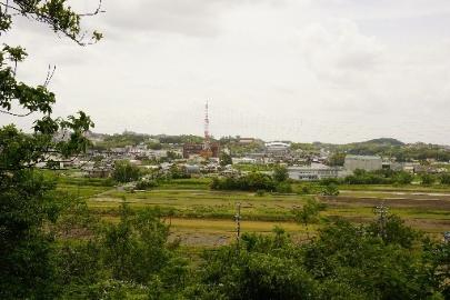 展望台から市役所方面を見る