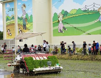 機械で一気に植え付ける様子を見守る参加者
