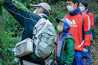 里山で育つ植物についても学ぶことができます