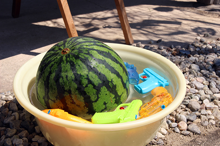 夏らしい風情も楽しめました