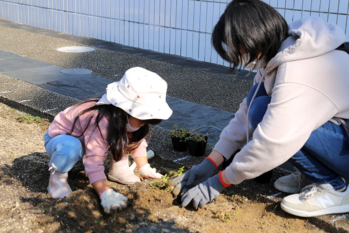丁寧に土を掘って植えました
