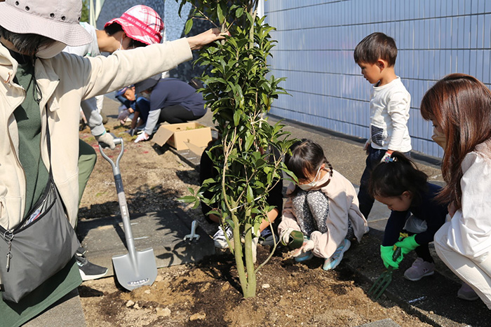 みんなで一本一本植えていきました
