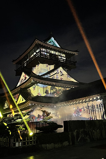 色とりどりに染まる岩崎城