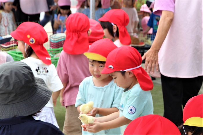 子どもが手のひらにヒヨコを乗せている写真