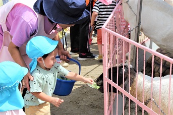 小さい子どもがヤギに餌をあげている写真