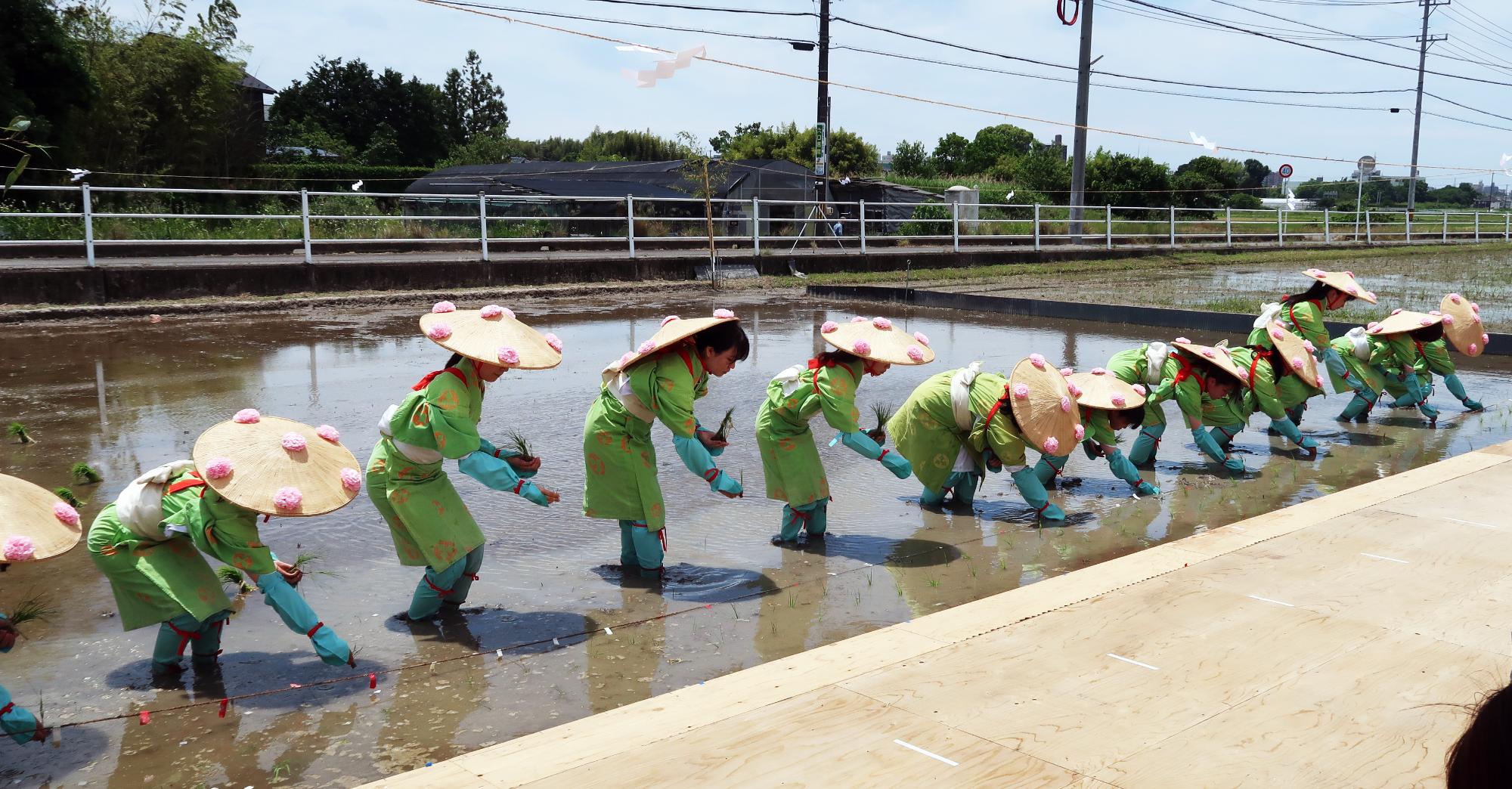 第130回愛知県農業祭献穀事業お田植祭の様子