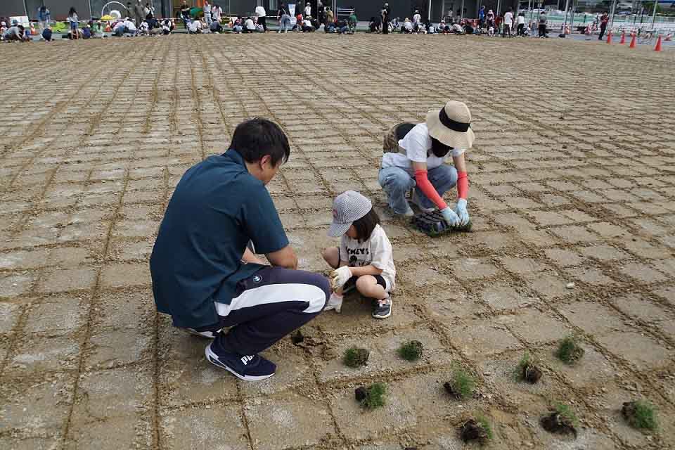 道の駅マチテラス日進の広場に芝を植える親子の写真
