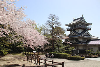 岩崎城址公園の桜の様子