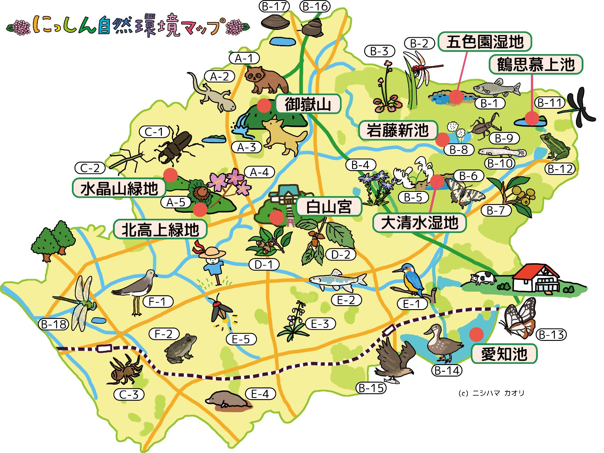 市域に生育生息する希少種等多様な動植物