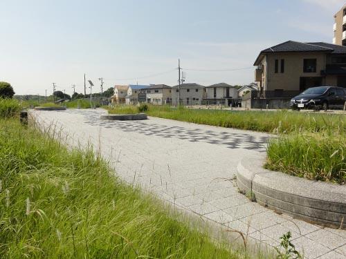 整備された遊歩道の写真