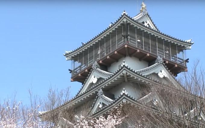 岩崎城天守閣の外観写真