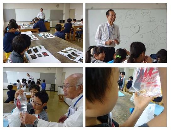 発明クラブ4年生Bクラスの子供たちが、魚の部位や生態、品種などについて学んでいる写真
