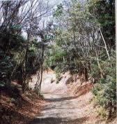 岩崎城跡に残されている空堀の写真