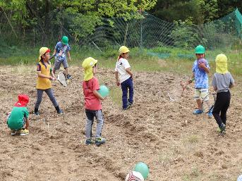 ふかふかの土の上でボール遊び