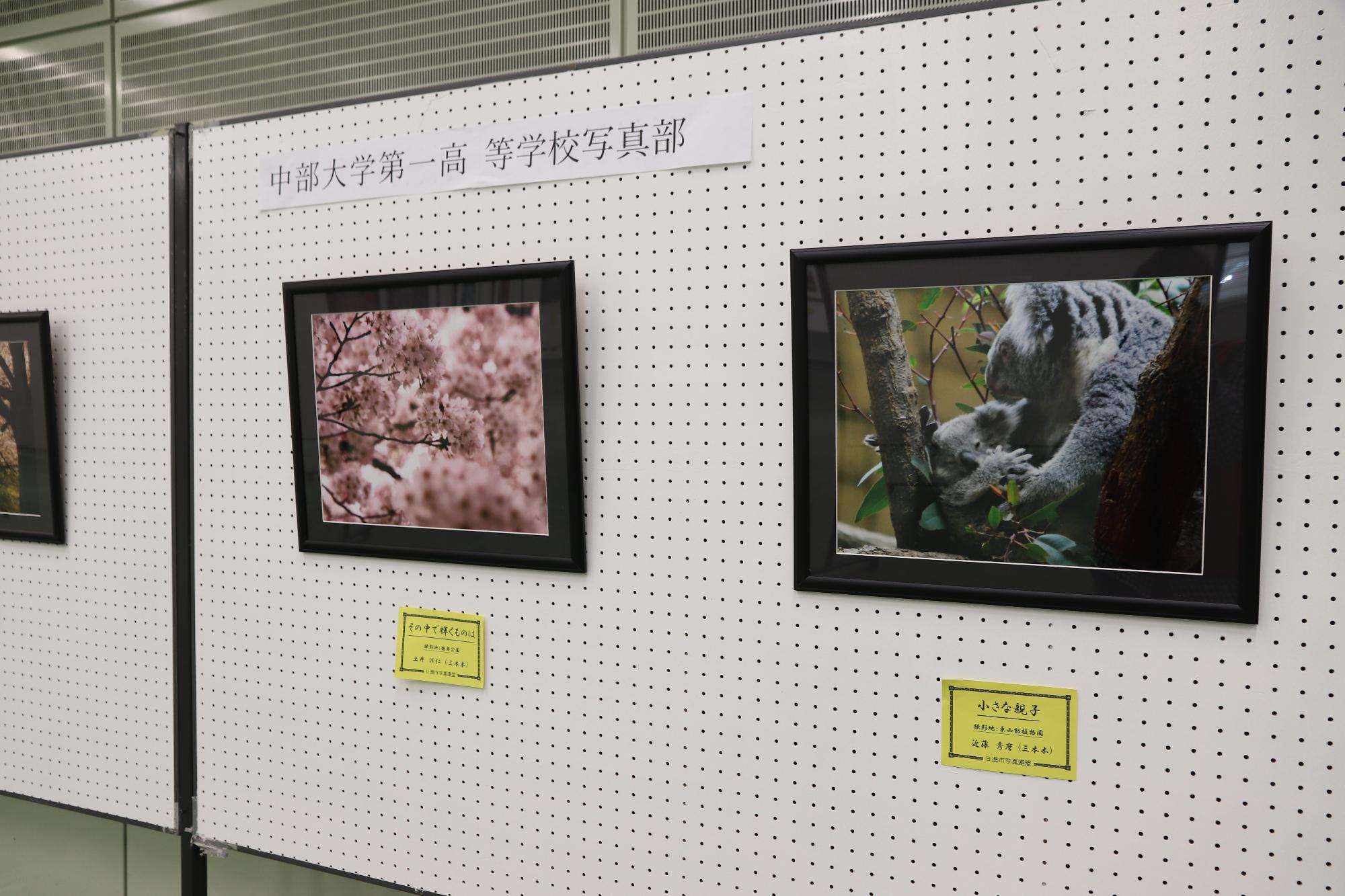 中部大学第一高等学校写真部の生徒作品も展示されていました