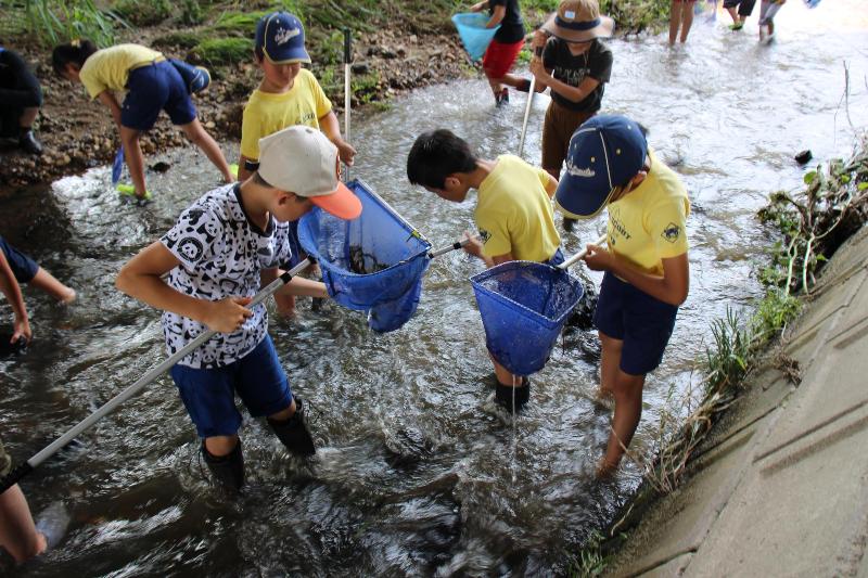 網で水中の生物を探す参加者