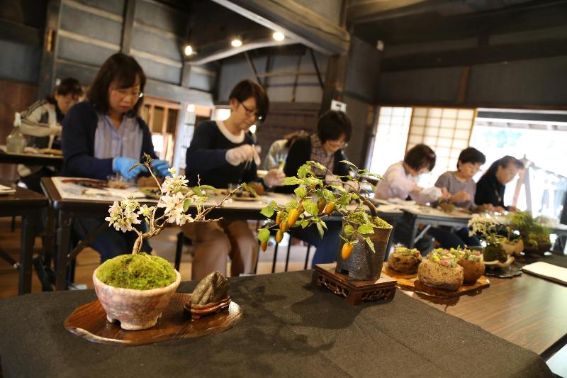 参加者は黙々と自分好みの寄せ植えを作ります