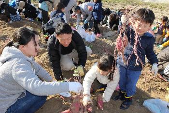 家族で芋掘り「とったぞー！」