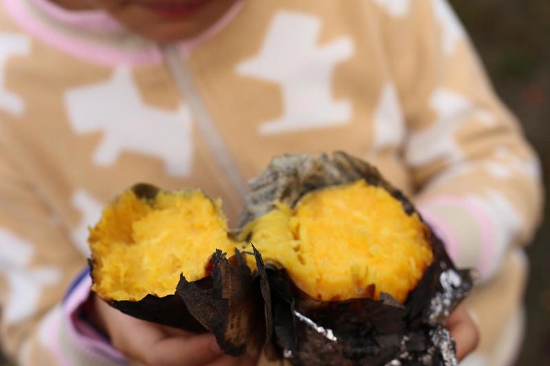 こんな素敵な色の焼き芋、初めて見ました