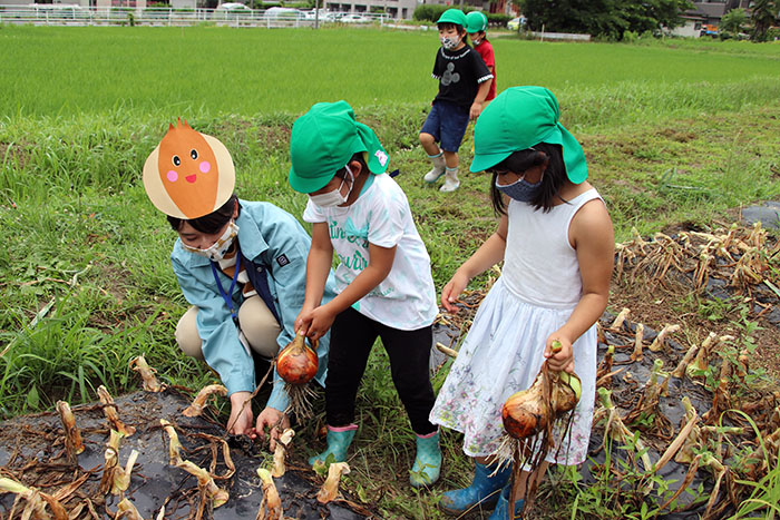 職員扮(ふん)する「タマネギおねえさん」と協力して大物を収穫