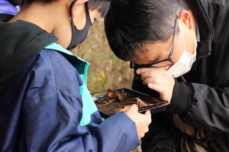 枯葉の下の生き物を拡大鏡で観察する参加者