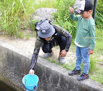 釣れたザリガニをバケツで受けている写真