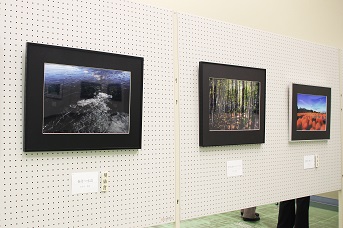 写真作品が展示されている写真