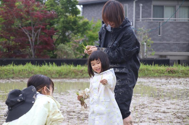 仲良く田植えをする姿