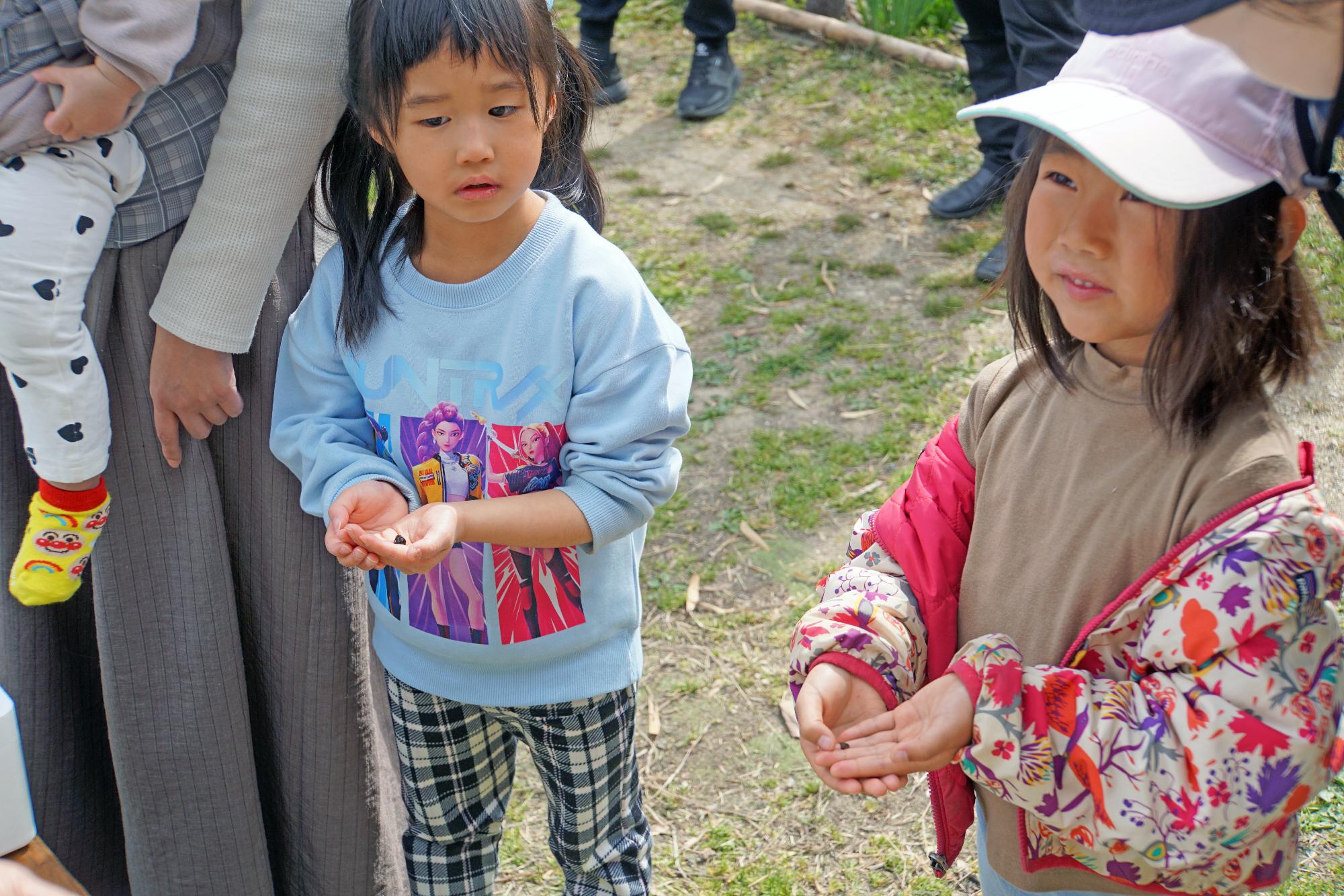 2026年3月18日 ホタルの里 幼虫放流会の画像