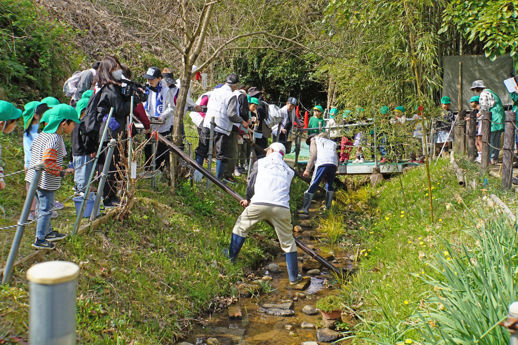 参加者が折戸川に幼虫を放流している様子の写真