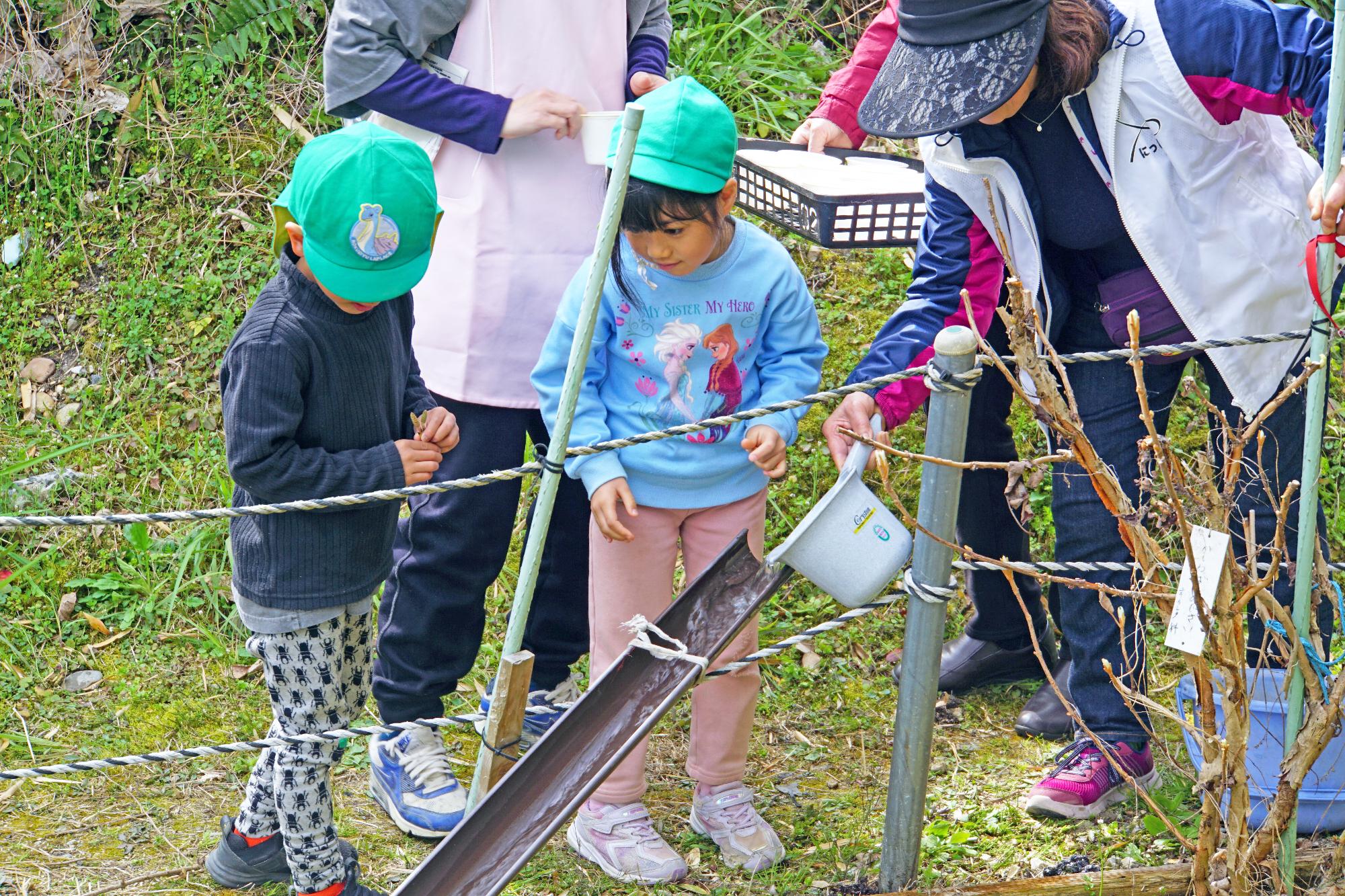 雨どいを使って幼虫を放流するこどもたちの写真