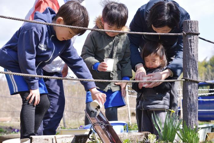 ホタルの幼虫を放流する参加者の写真