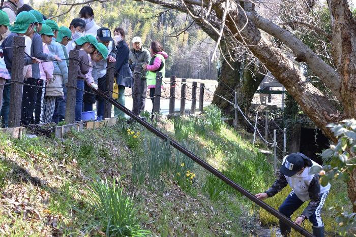 園児たちがホタルの幼虫を放流する写真