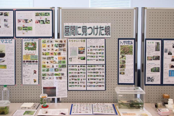 日進岩藤川自然観察会の調査の発表展示の写真