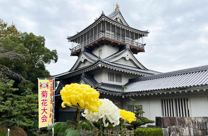 岩崎城を背景に菊が並んでいる写真