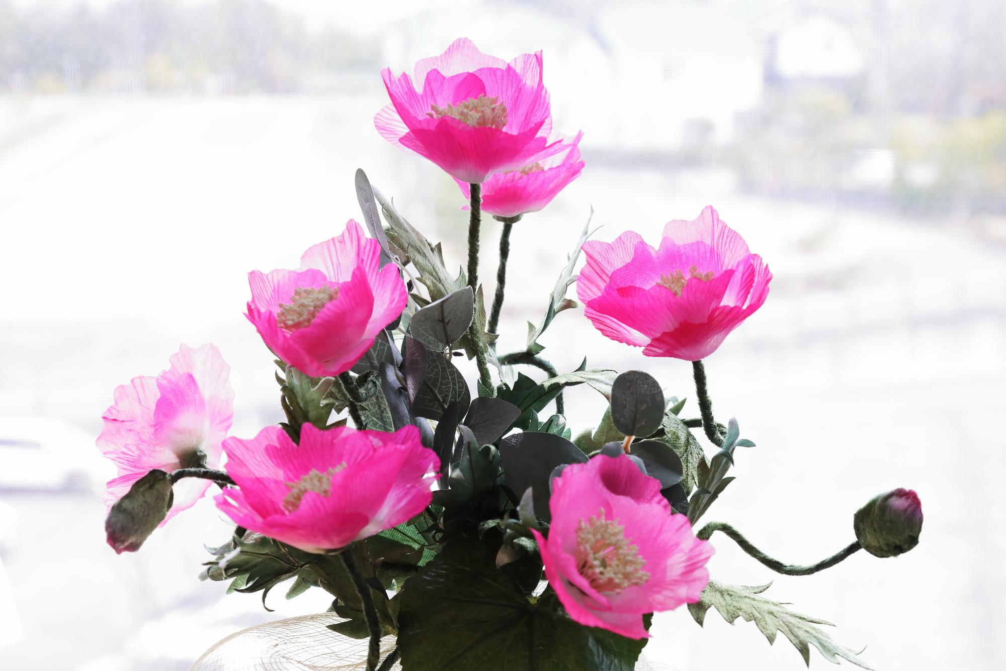 2025年3月19日 染めの花(ポピー)／日進市