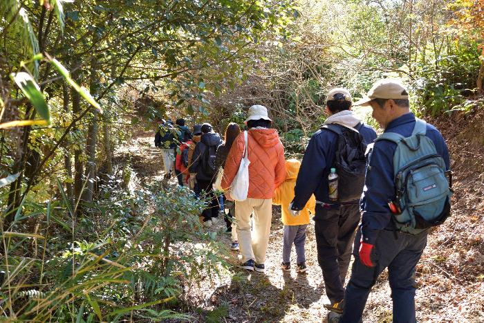 参加者が列になって里山を進んでいる様子の写真