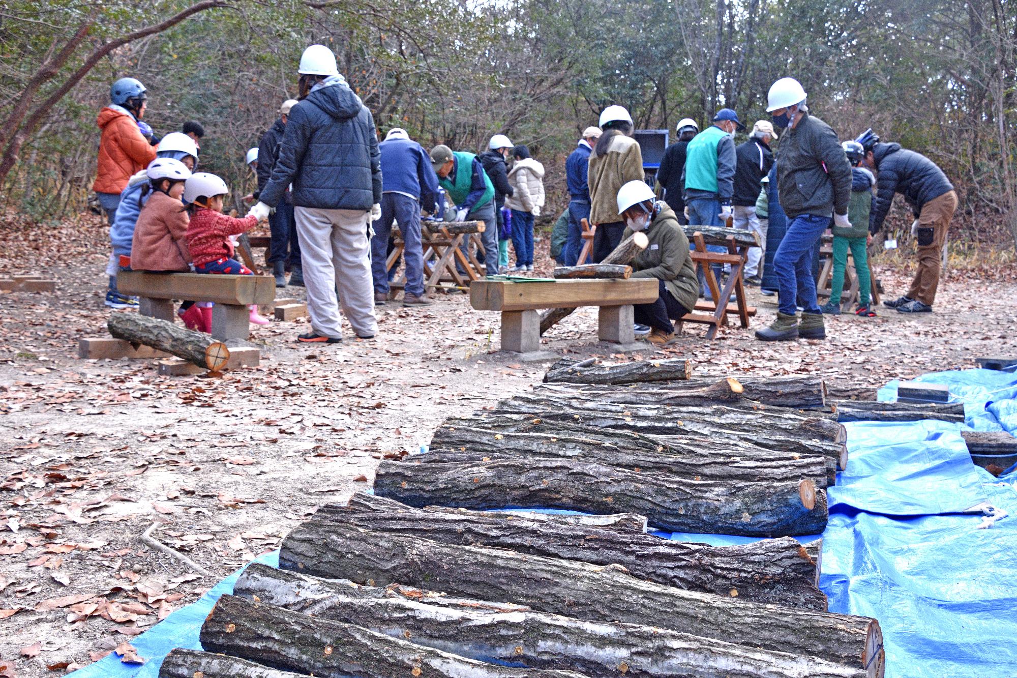 伐採された原木がブルーシートの上に並べられている写真