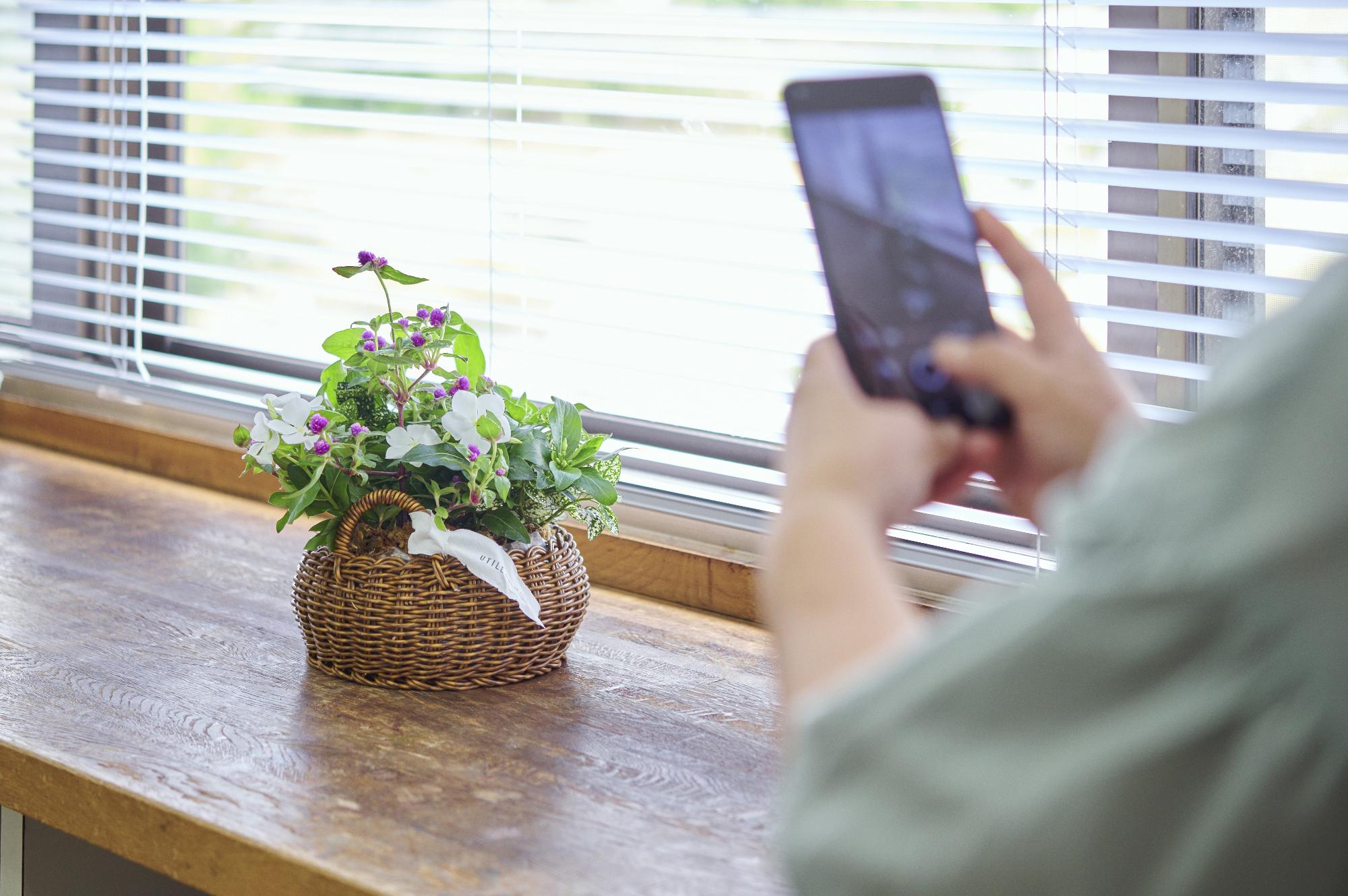 完成した寄せ植えを撮影する様子の写真