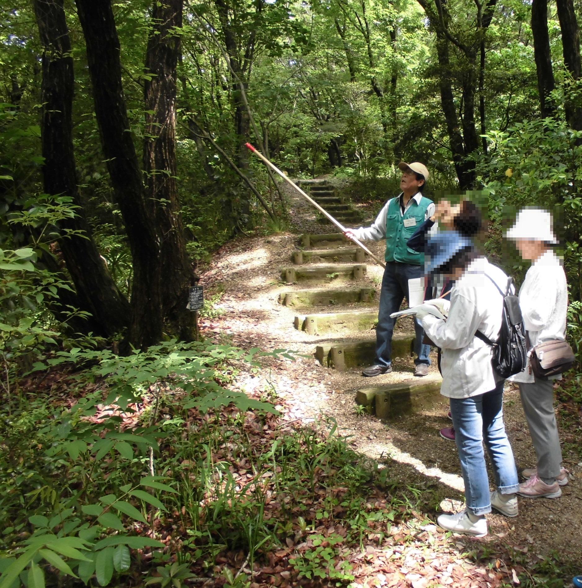 過去の里山を歩こう（里山自然観察会）の様子