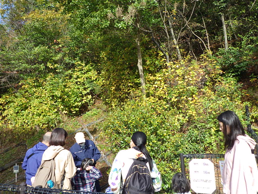 R5年度里山を歩こう（秋）