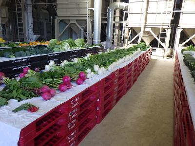 農畜産物共進会