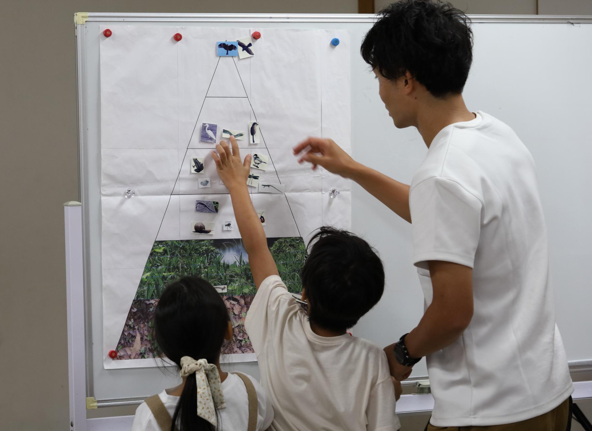 生態系について学ぶ参加者の写真
