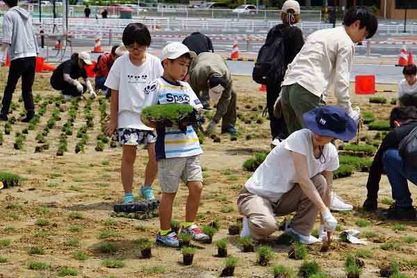 2025年6月1日「道の駅マチテラス日進 芝植えイベント」の画像