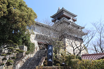 岩崎城址公園の桜の様子