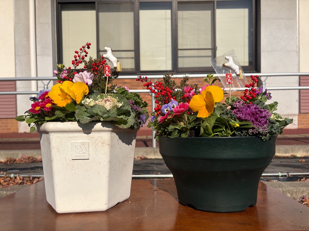 完成した寄せ植え作品