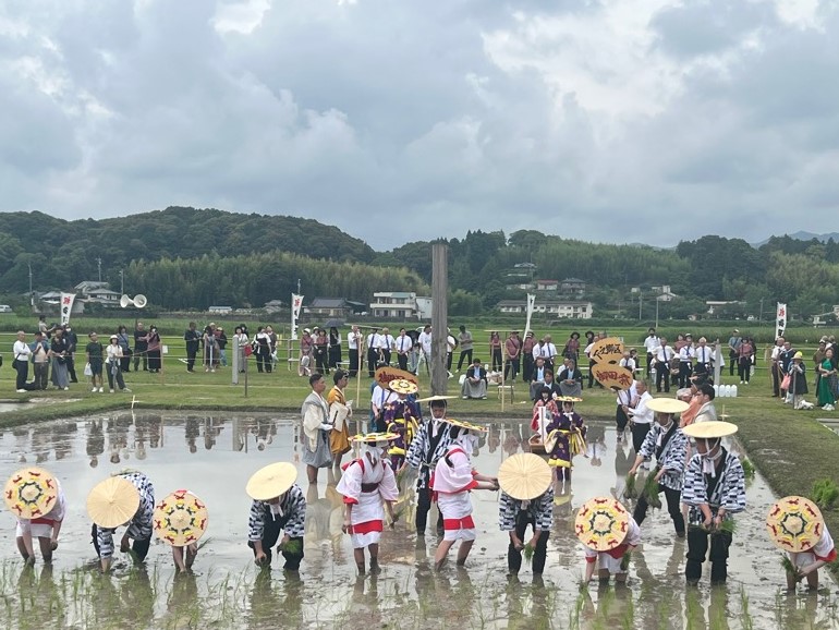 20260624_志摩市御田植祭の様子