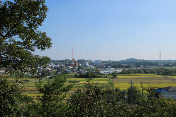 北高上緑地からの風景